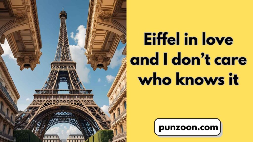 Witty French Puns for Social Media