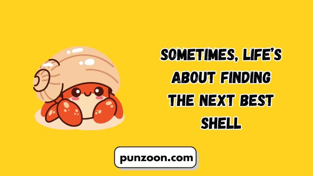 Witty Hermit Crab Puns for Social Media