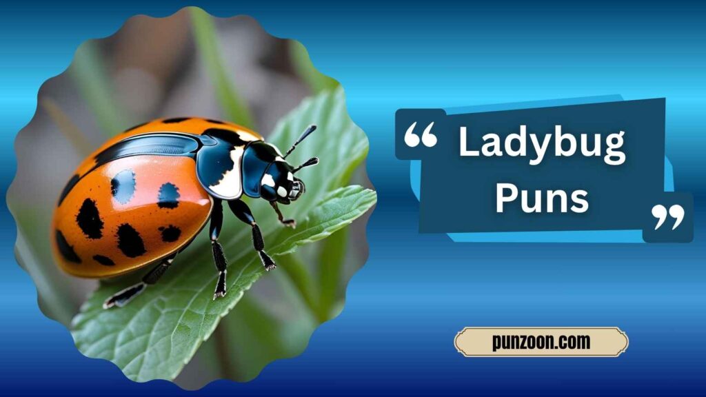 Witty Ladybug Puns for Social Media