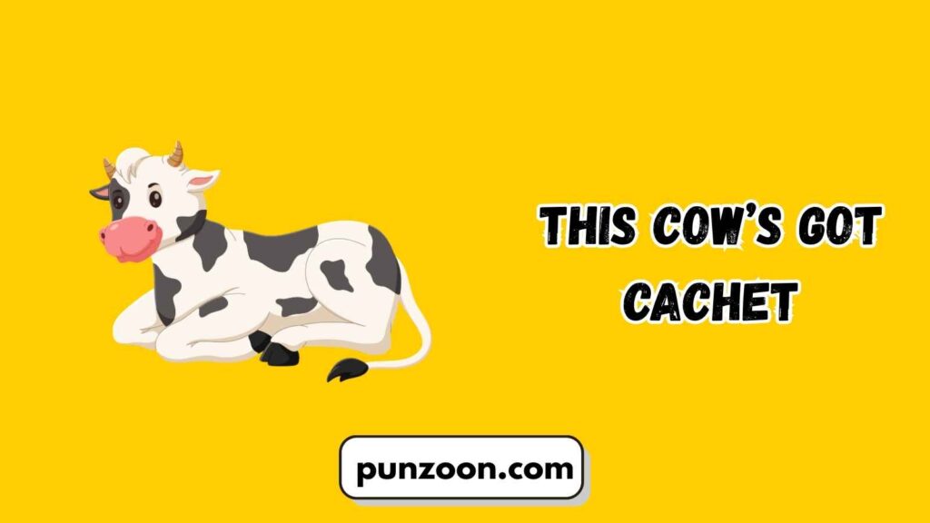 Witty Moo Puns for Social Media