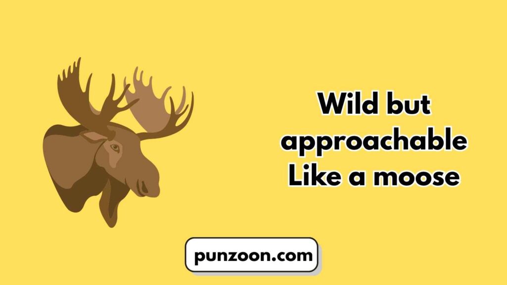 Witty Moose Puns for Social Media