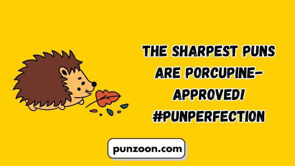 Witty Porcupine Puns for Social Media