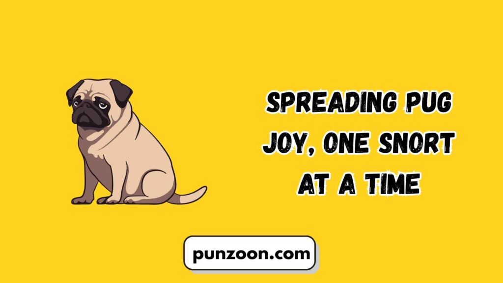 Witty Pug Puns for Social Media 