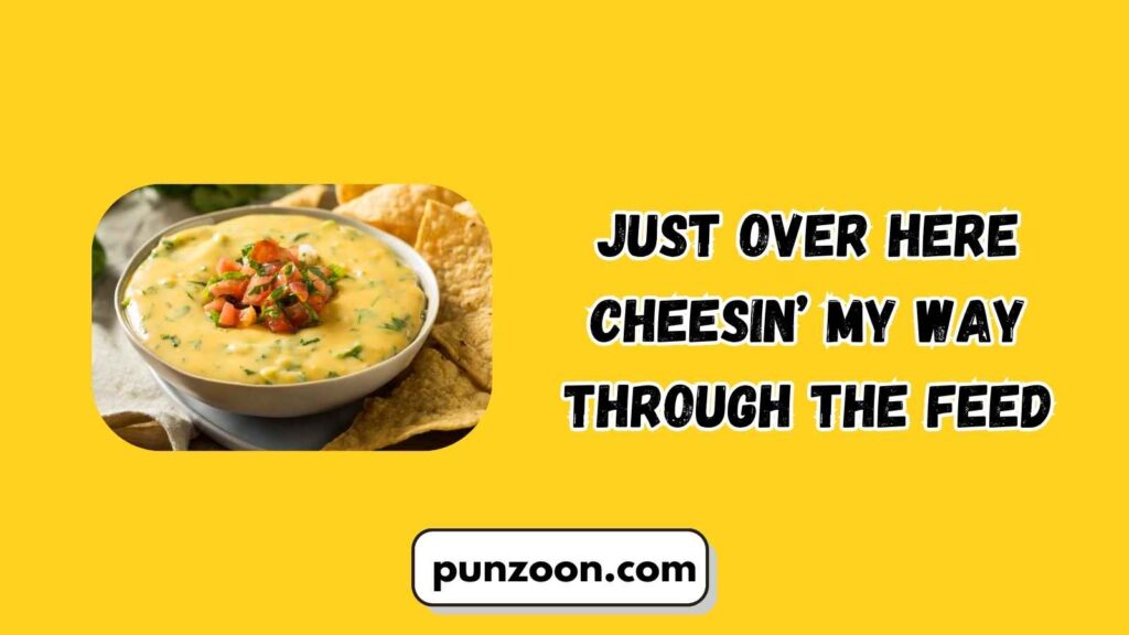 Witty Queso Puns for Social Media