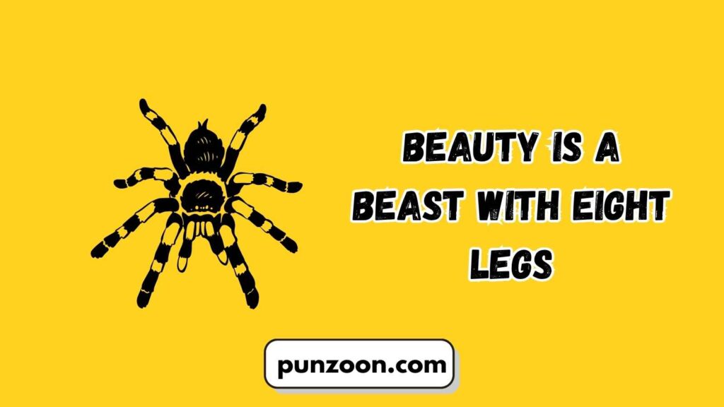 Witty Tarantula Puns for Social Media