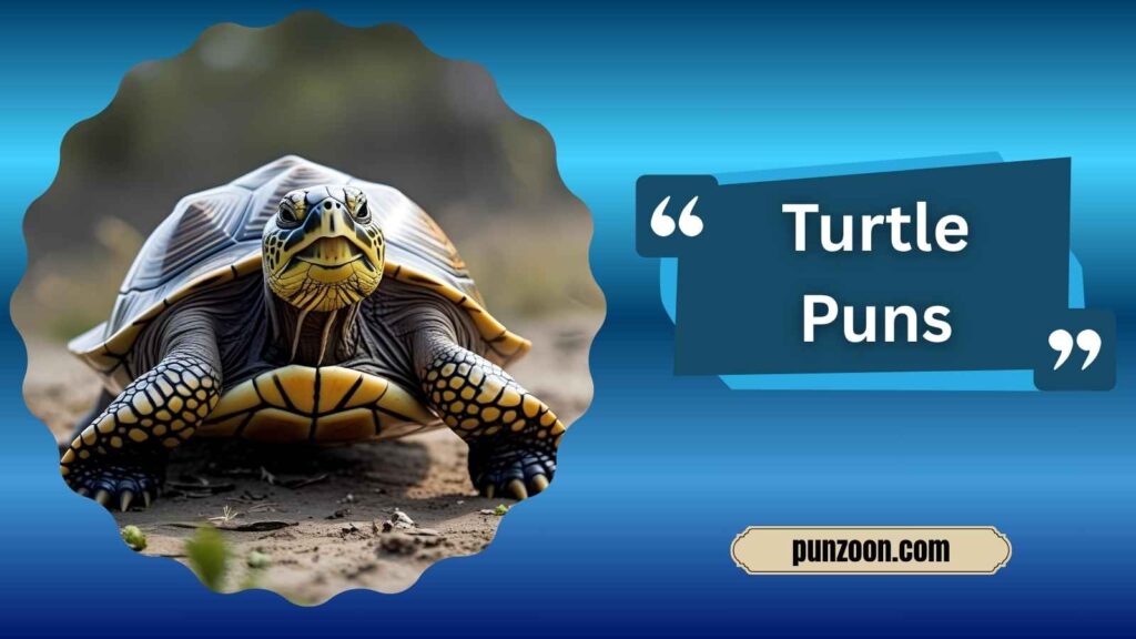 Witty Turtle Puns for Social Media