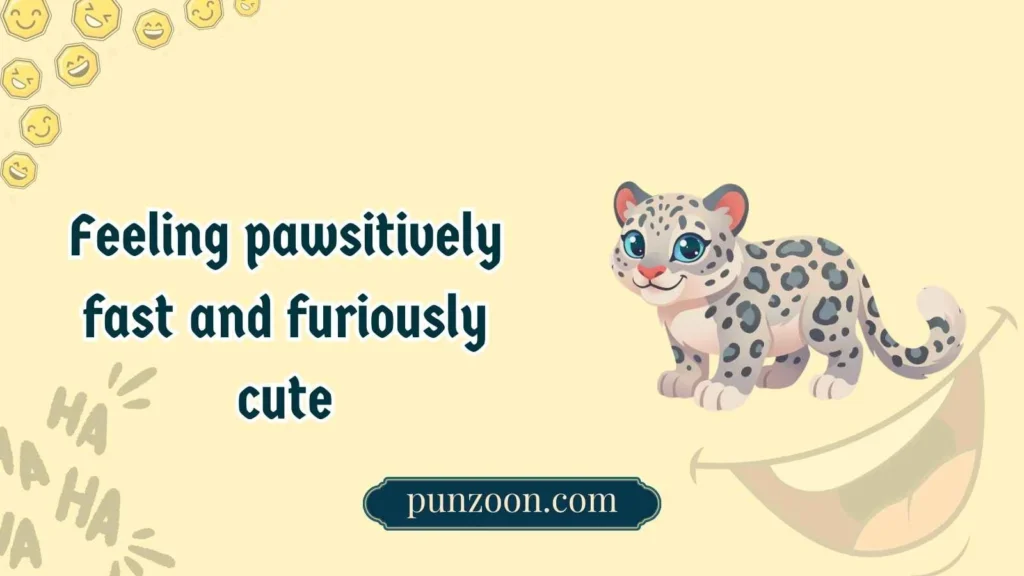 Cute cheetah puns