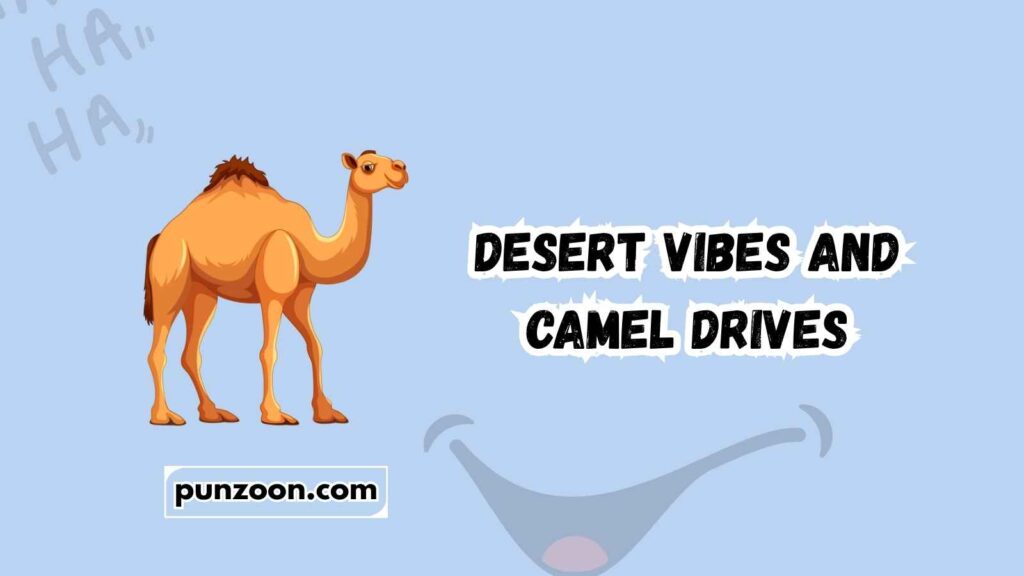 Funny Camel Puns Captions