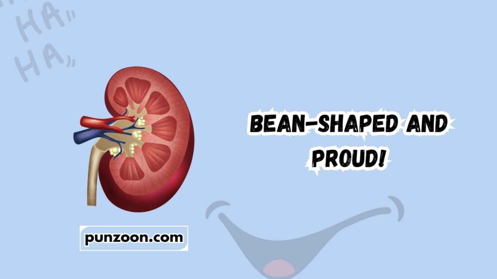 Funny Kidney Puns Captions