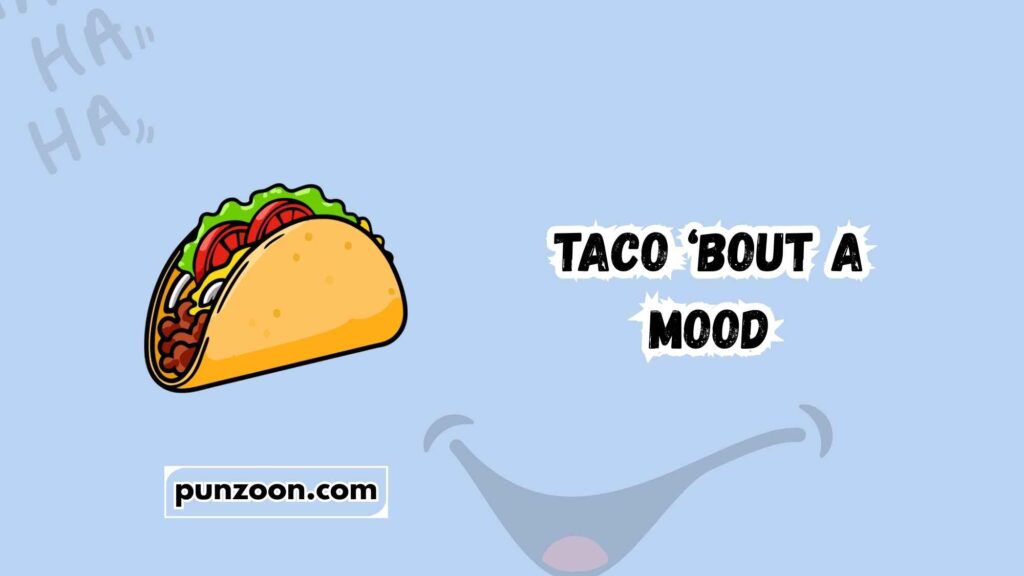  Funny Taco Puns Captions for Every Occasion