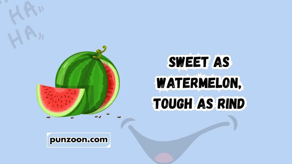 Funny Watermelon Puns Captions