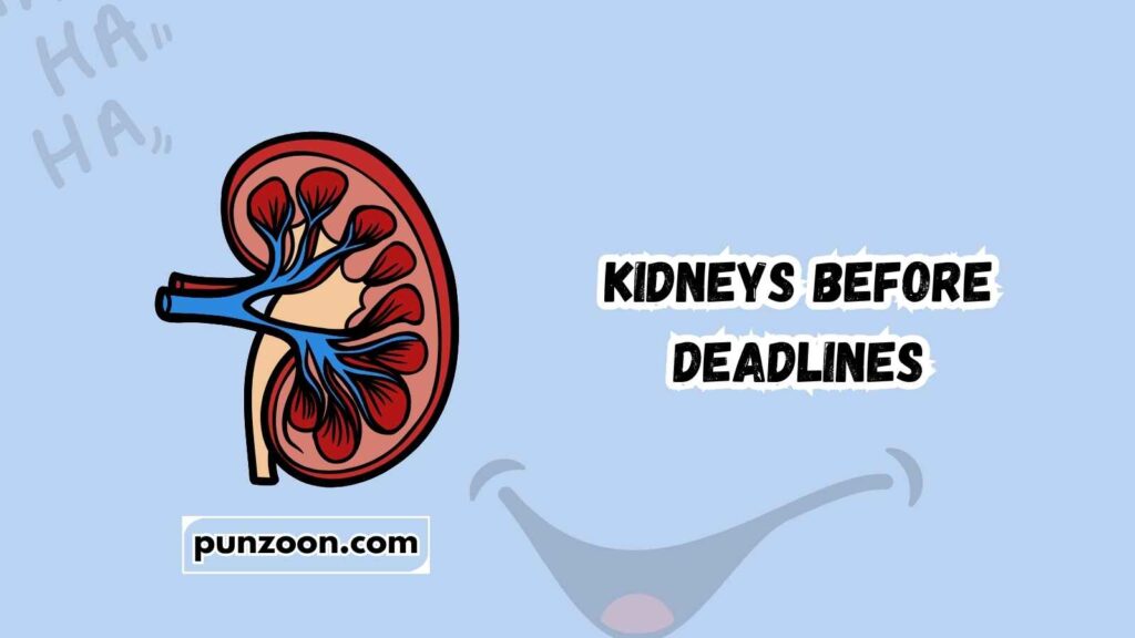 Short Funny Kidney Puns