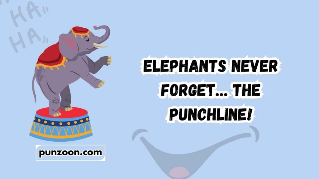 Best Circus-Themed Wordplay Jokes