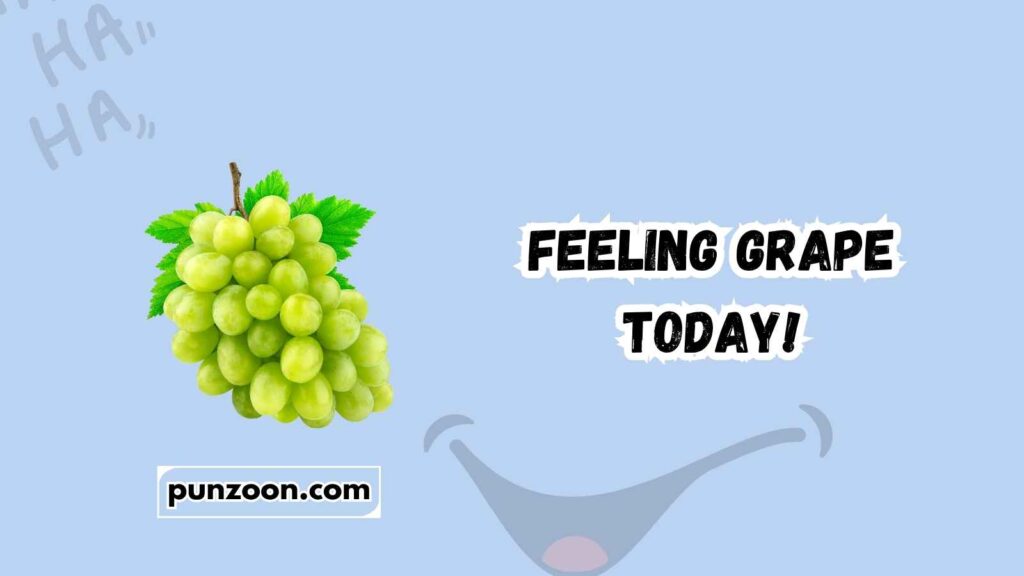 Funny Visual Puns Captions