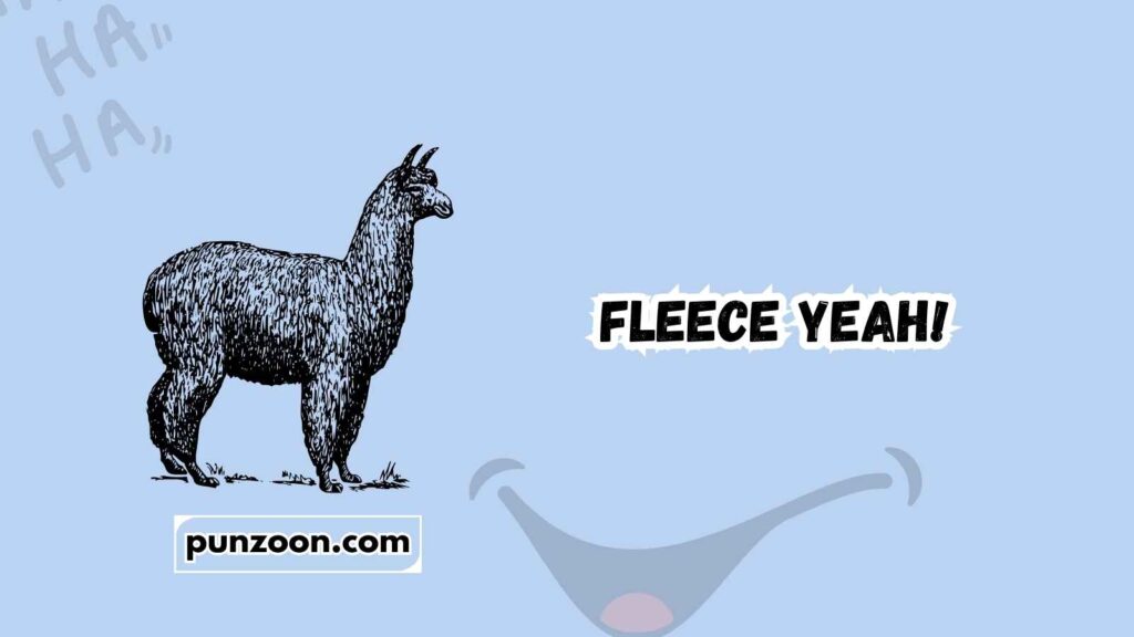 Short Funny Alpaca Puns