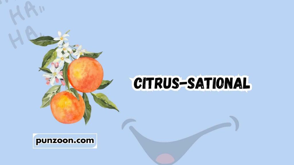 Short Funny Citrus Puns