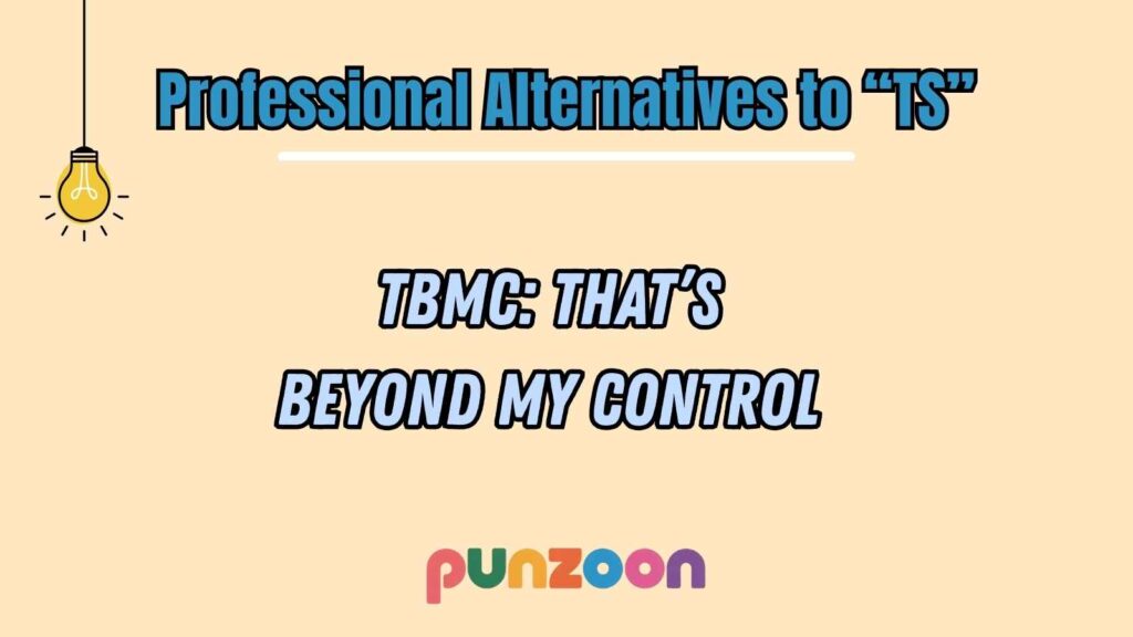 Professional Alternatives to TS