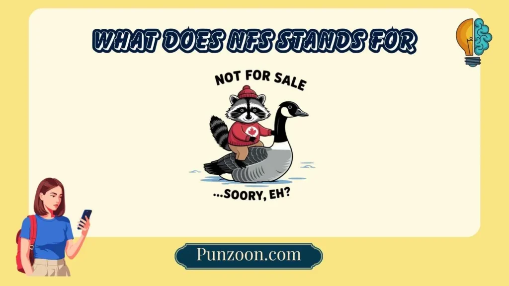 What Does NFS Stands For