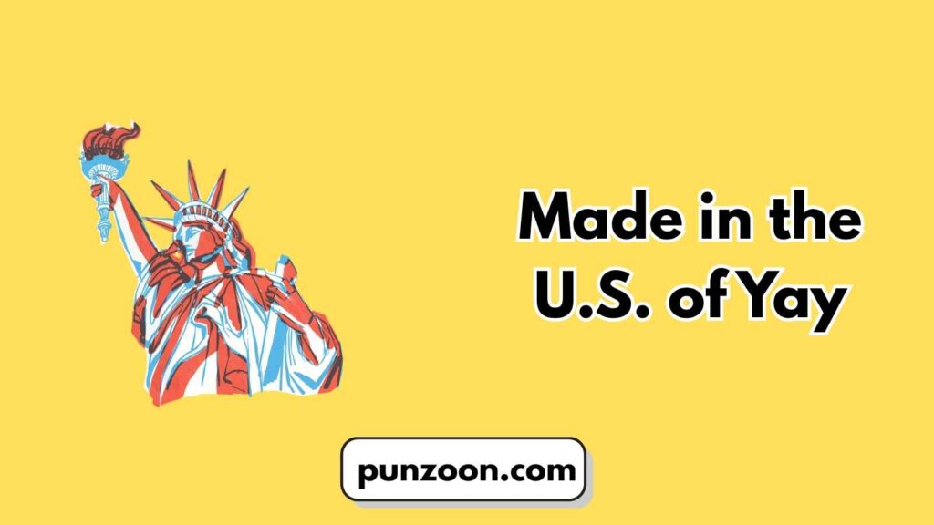 4th of July Puns