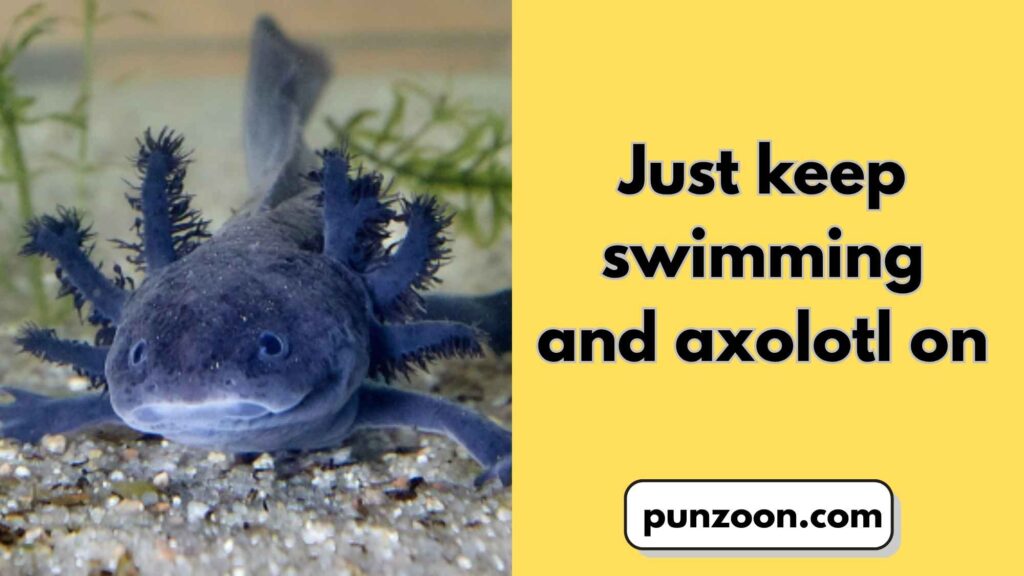 Axolotl Puns