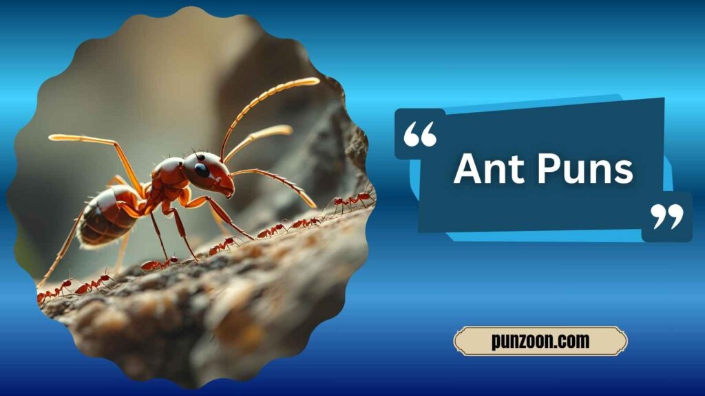 Ant Puns