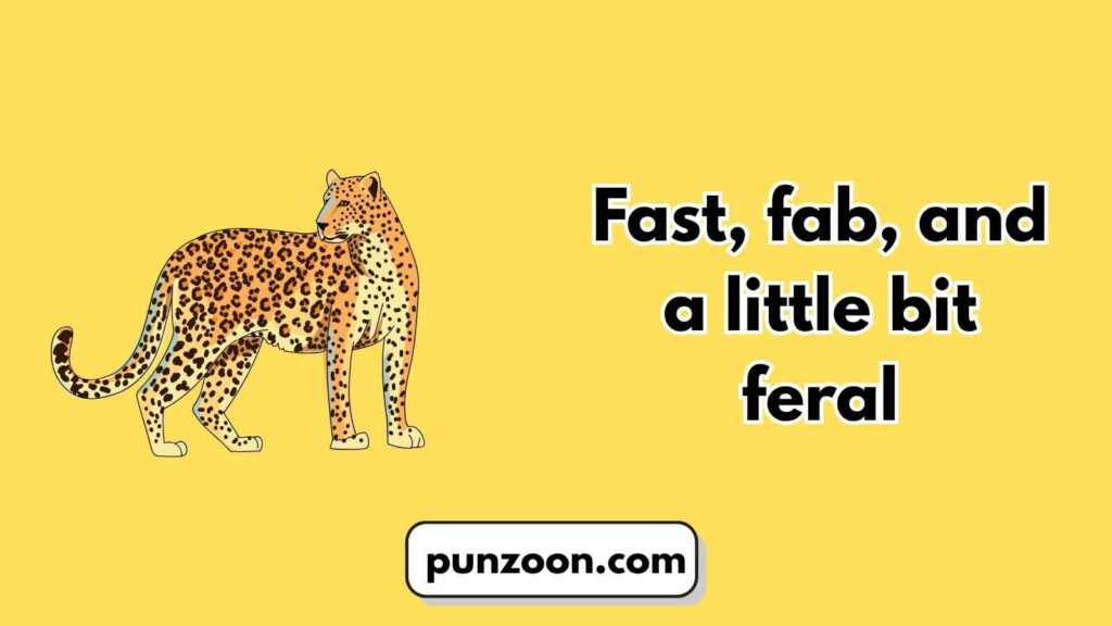 Cheetah Puns