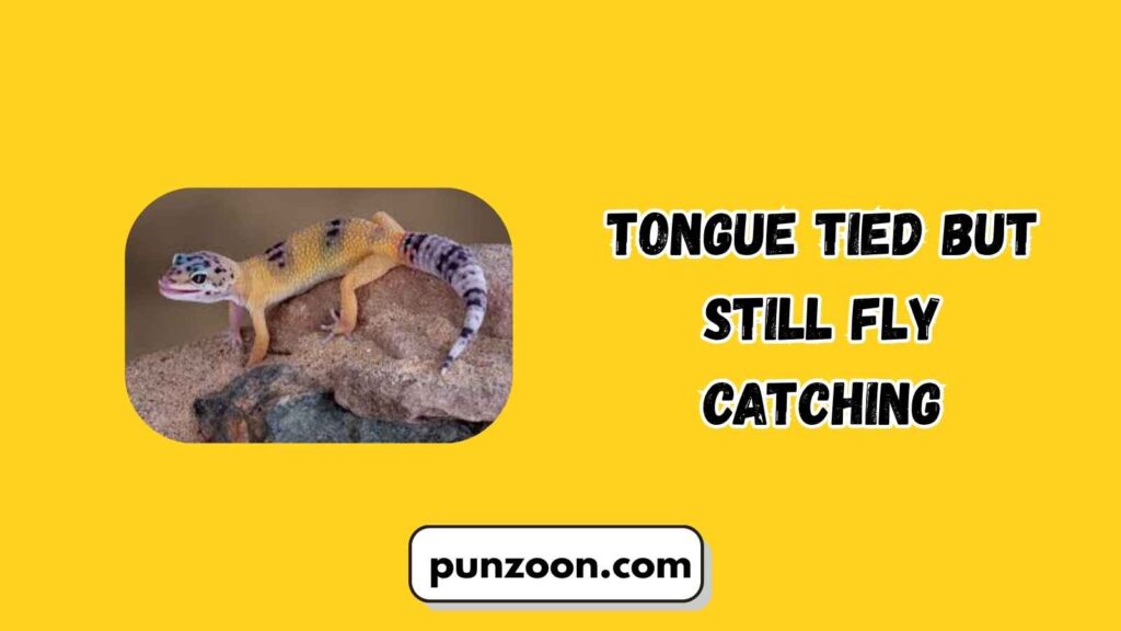 Gecko Puns