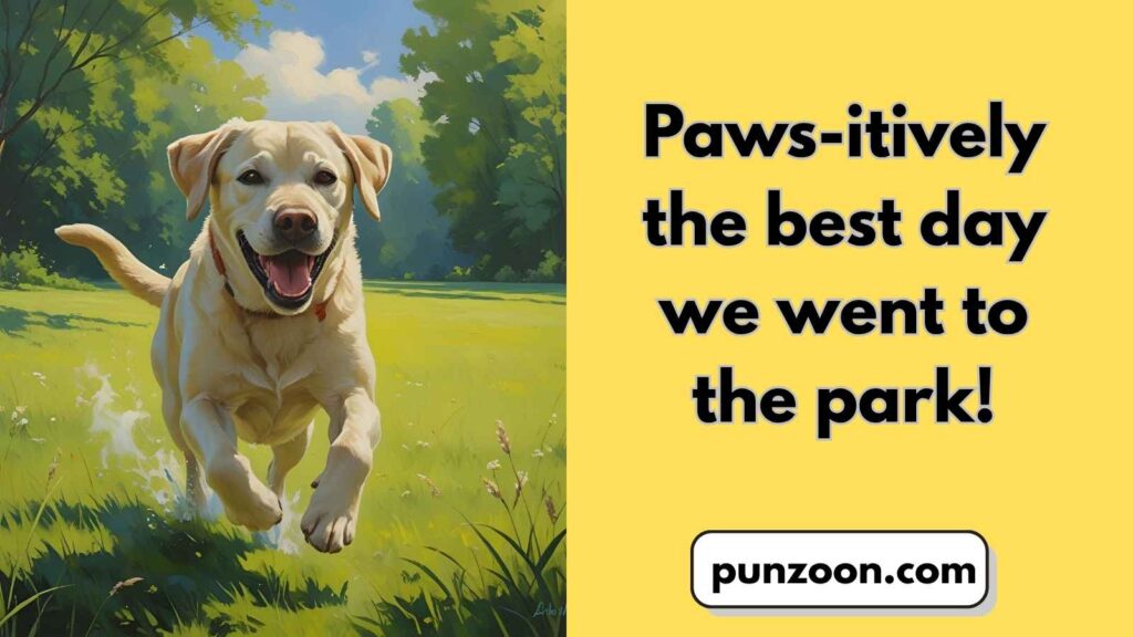 Labrador Puns