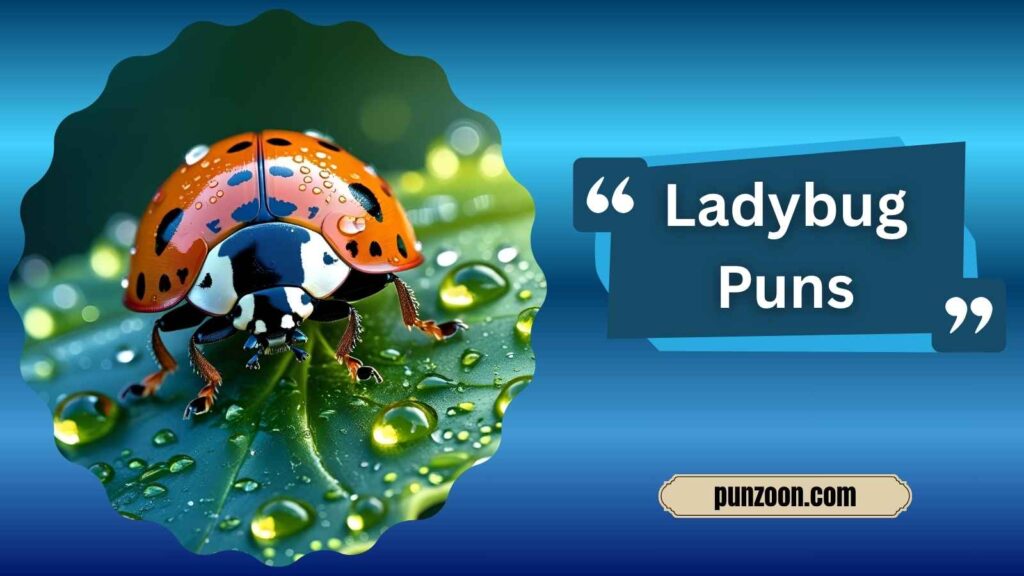 Ladybug Puns