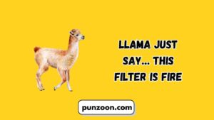Llama Puns