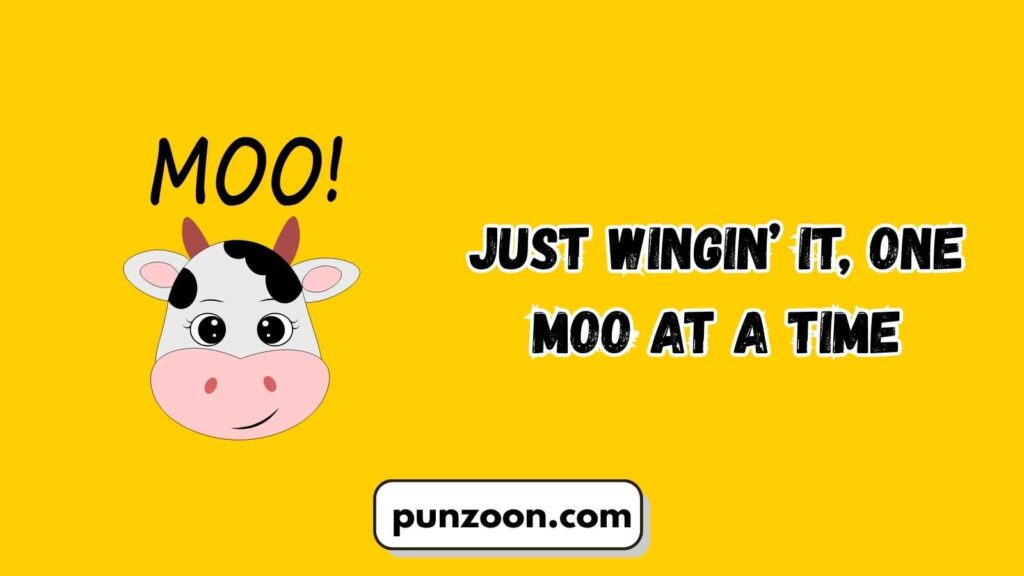 Moo Puns