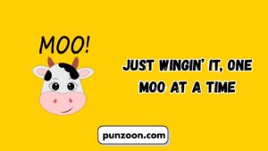 Moo Puns