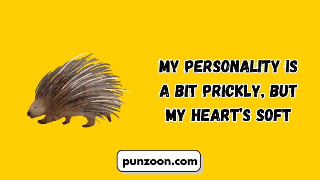 Porcupine Puns