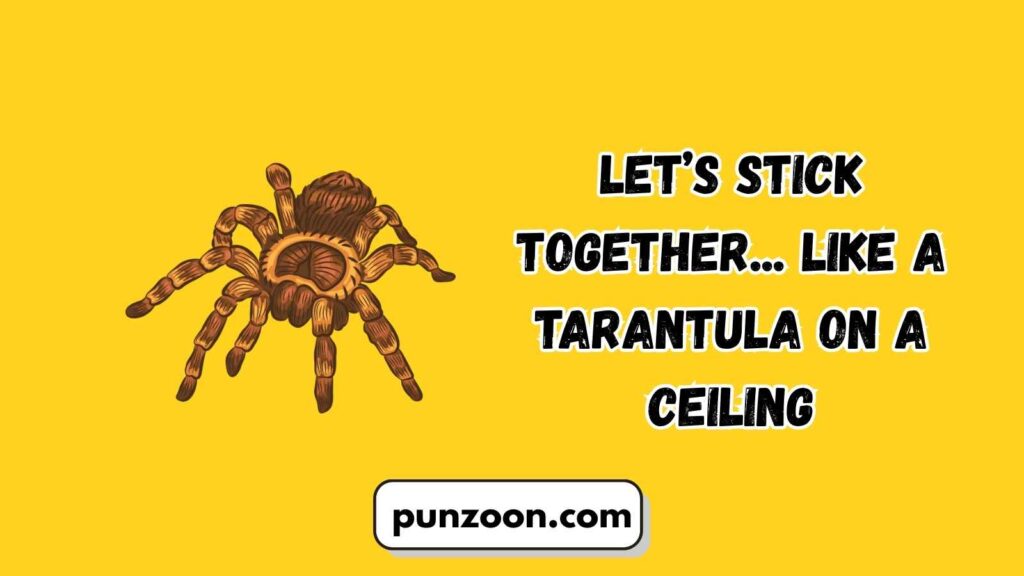 Tarantula Puns