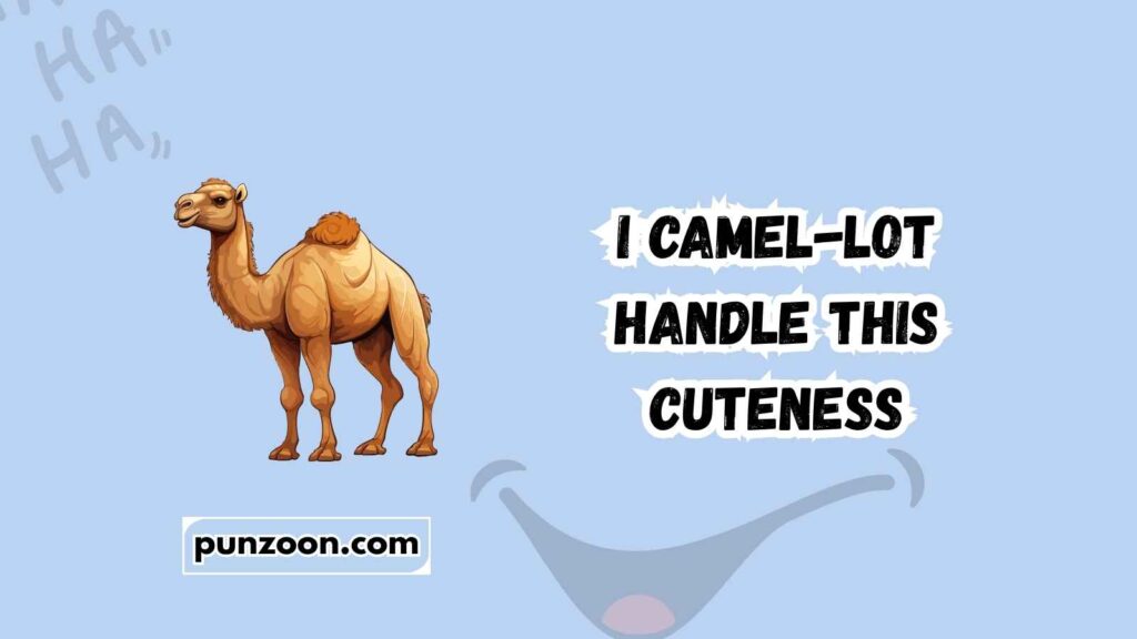 Camel Puns
