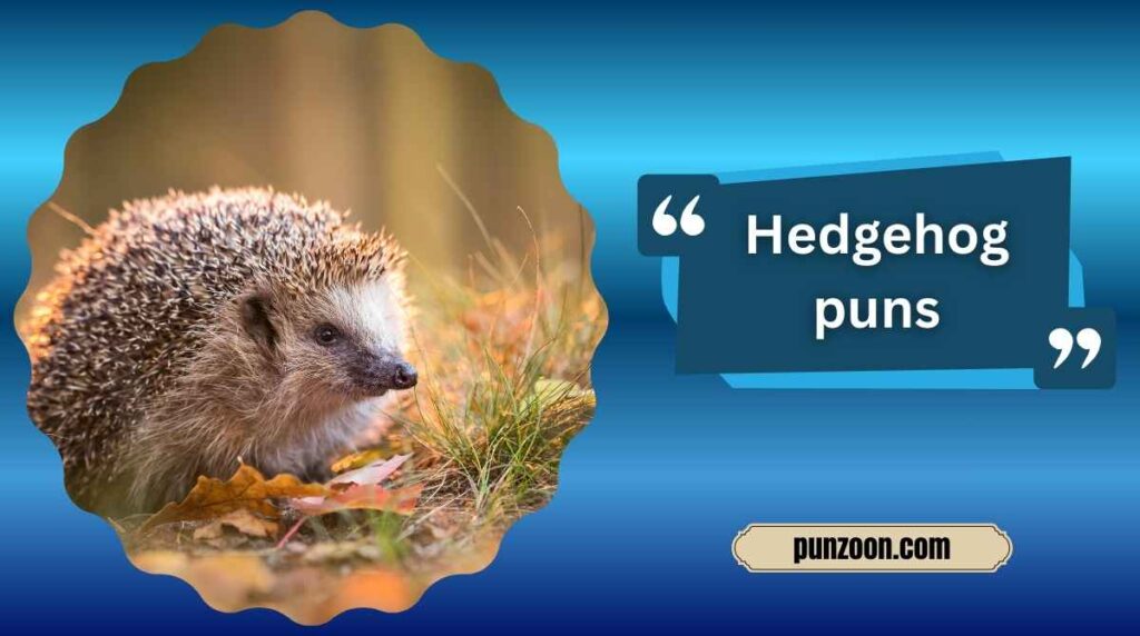 hedgehog puns