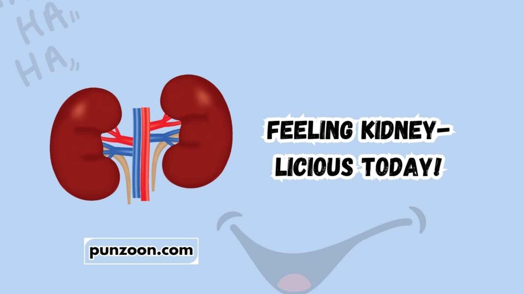 kidney puns