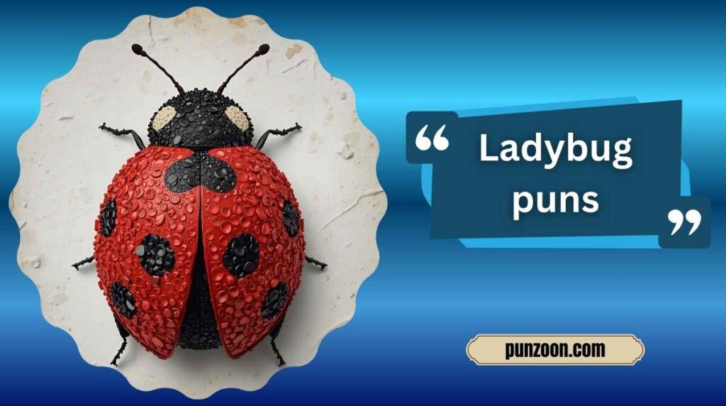 ladybug puns