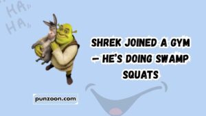 shrek puns