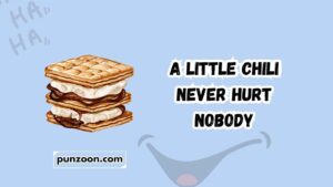 smore puns