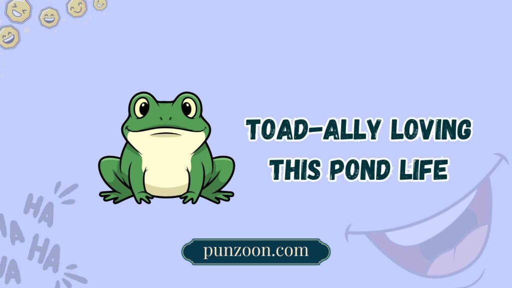 toad puns
