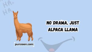 alpaca puns