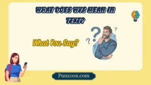 What Does WYS Mean in Text?