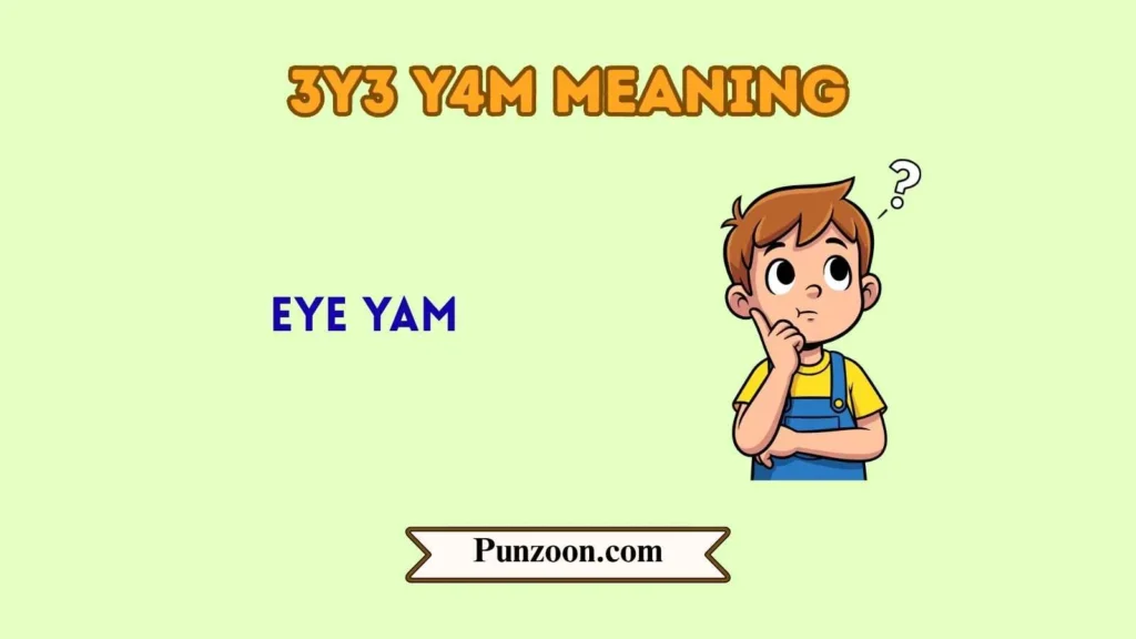 3y3 y4m meaning