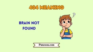 404 meaning